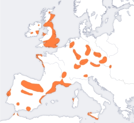 Bellbeaker_map_europe